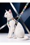 Cat Collar H Type Adjustable Chest and Strap Set