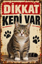 Caution There Is a Cat Short-Haired Cat Retro Metal Wall Painting Decorative Sign 20X30 cm