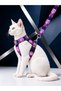Cat Collar H Type Adjustable Chest and Strap Set