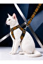 Cat Collar H Type Adjustable Chest and Strap Set