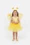 Butterfly Wing Fairy Costume - 2