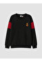 Esvab • Modern & Distinctive Licensed Embroidered Boys' Thick Sweatshirt