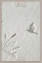 Hcw 2-Piece Bathroom Mat Set Ni̇ll Ecru - 2