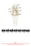 Edge-Stitched Scuba Jacket 202717 - Beige - 5