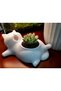Cute Cat-Shaped Succulent Pot That Can Stretch Out - 2