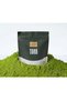 Matcha High Grade 100-gm - 2