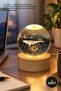 1 Piece Glass Globe – Color Changing Illuminated Decorative Product with Dolphin Pattern and Wooden Base Table Lighting USB Powered Light Globe