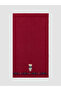 Rmz Gi̇yi̇m Farkiyla Cute Teddy Bear Embroidered Face Towel 50X80 - 3
