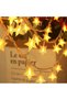 5m Led Star Light Chain - Daylight, with Plug - 2