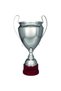 CUPA 2020C
