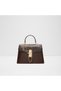 Kaelis Ladies Brown Top Handle Bag