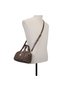 Tanaa Ladies Brown Satchel Bag - 4