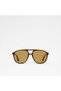 Ellyssa Ladies Brown Sunglasses
