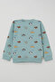 Baby Boy Tracksuit Set with Fun Puppies Pattern, 9 Months - 3 Years, Water Green - 4
