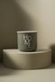Cozy Porcelain Espresso Cup Green - 80 ml - 2