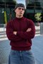Men's Stand Collar Fit Winter Knitwear Burgundy Sweater - 2