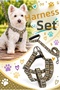 Dolars Dog Chest Harness and Walking Strap Set