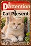 Caution Cat Is Present Cream Cat Retro Metal Wall Sign Decorative Warning Sign 20X30 cm