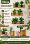 20X30 cm 3 Sheets Adhesive Wall Sticker with Plant Design and Shelf Decorative - 5
