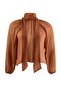Brown Chiffon Woven Plus Size Blouse