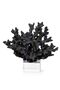 Wolf Headed German Silver Tassel Imame Silver Yuzur (Sea Coral) - 6