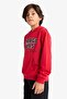 Nba Chicago Bulls Printed Kangaroo Pocket Hooded Sweatshirt Boys' F4087A825Au - 5