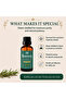 Rosemary Essential Oil - 30 ml | 100% Pure and Natural | Premium Grade Essential Oils for Hair growth, Aromatherapy, Diffusers, Skin, Massage and Humidifiers - 6