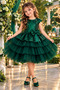 Girl's Green Birthday Special Day Children's Evening Dress Sequined Dress - 4