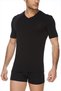 Underwear Passage Men's Black V-Neck Bamboo T-Shirt - 2