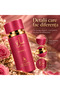 Sara Extract - Parfum 100 ml - 5
