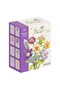 Cuburi de Constructie Flori (8 Modele) - 2