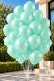 25 Pack Green Macaron Mint Mint Green Pastel Color Matte Balloon Soft Water Light Fresh