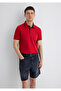 Red Polo T-Shirt with Collar Detail Fitted / Fitted Cut 062373 -28441 - 3