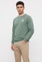 Valley Sage Green Crew Neck Printed Standard Fit Men's Sweatshirt - 3