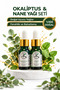 Eucalyptus & Peppermint 100% Pure and Natural Essential Oil Set of 2 2X10 ml Glass Dropper Bottles (Eucalyptus & Peppermint Essential Oil) - 2