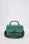 Women's Handbag C.Ccs17637 - 2