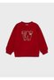 Boy's Printed Sweatshirt 04452 - 4