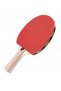 Rachetă de tenis de masă Evolve - 2