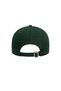 60471456-R Nos League Ess 9Forty Neyyan Dkgwhı Hat Green - 4