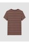 Alita City Farkıyla Koor Sport Brown Combed Cotton Striped Narrow & Slim Women's Sports T-Shirt - 3