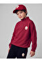 Esvab • Modern & Distinctive Licensed Printed Boys' Sweatshirt
