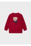 Boy's Figured Sweater