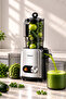 Vitamillion 2605H Solid Fruit Juicer