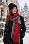 Women's Red Plaid Scarf and Black Beanie Set: 2-Piece Winter Scarf and Beanie Set - New Year's Gift - 2