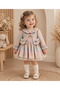 Teddy Bear Embroidered Baby Girl Dress with Ribbon Detail on the Front and Tutu Lining at the Bottom