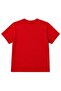 Global Mindset Winged Lions & World Graphic Kids T-Shirt - 2