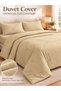 Bedsheet Set, Lime Green Pinstripe Pattern, 100% Cotton, 125 GSM - 3