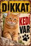 Caution There Is a Cat Orange Cat Retro Metal Wall Sign Decorative Plate 20X30 cm