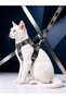 Cat Collar H Type Adjustable Chest and Strap Set