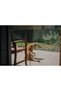Mosquito Net - 6